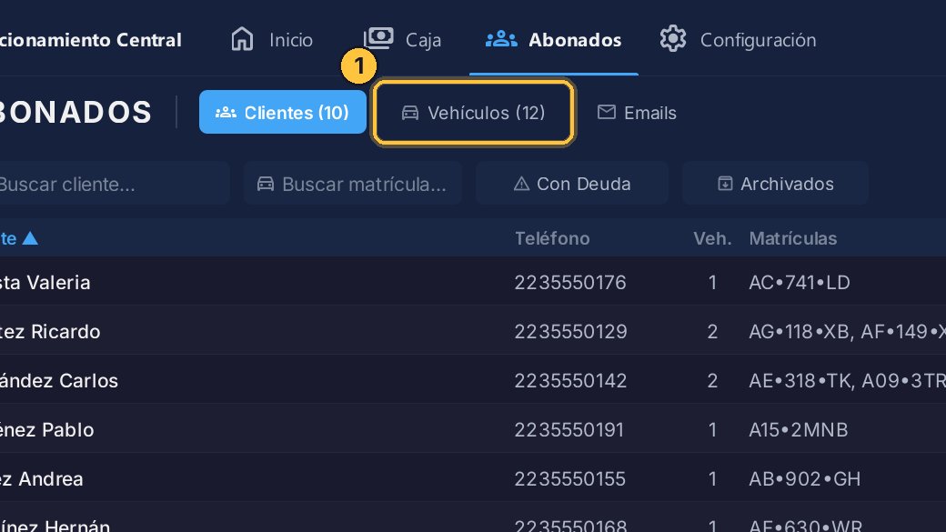 Abre la pestaña Vehículos: están los de todos los abonados.
