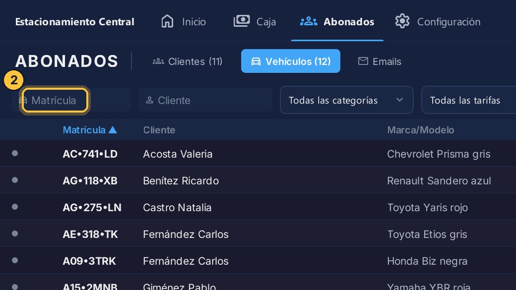 Escribe la matrícula, o una parte. Por ejemplo, AF207.