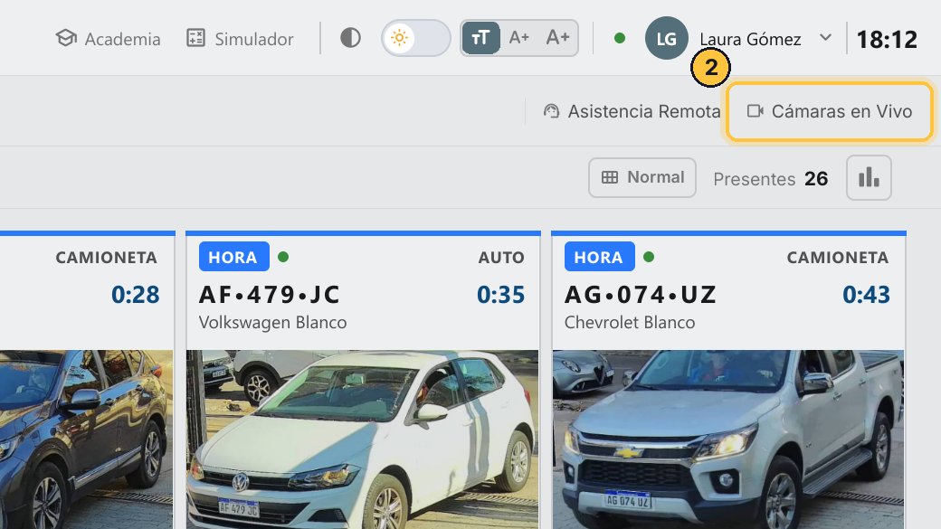 Si ves la imagen de la cámara, está bien conectada. Casi seguro es la IP de la computadora: sigue con la solución.