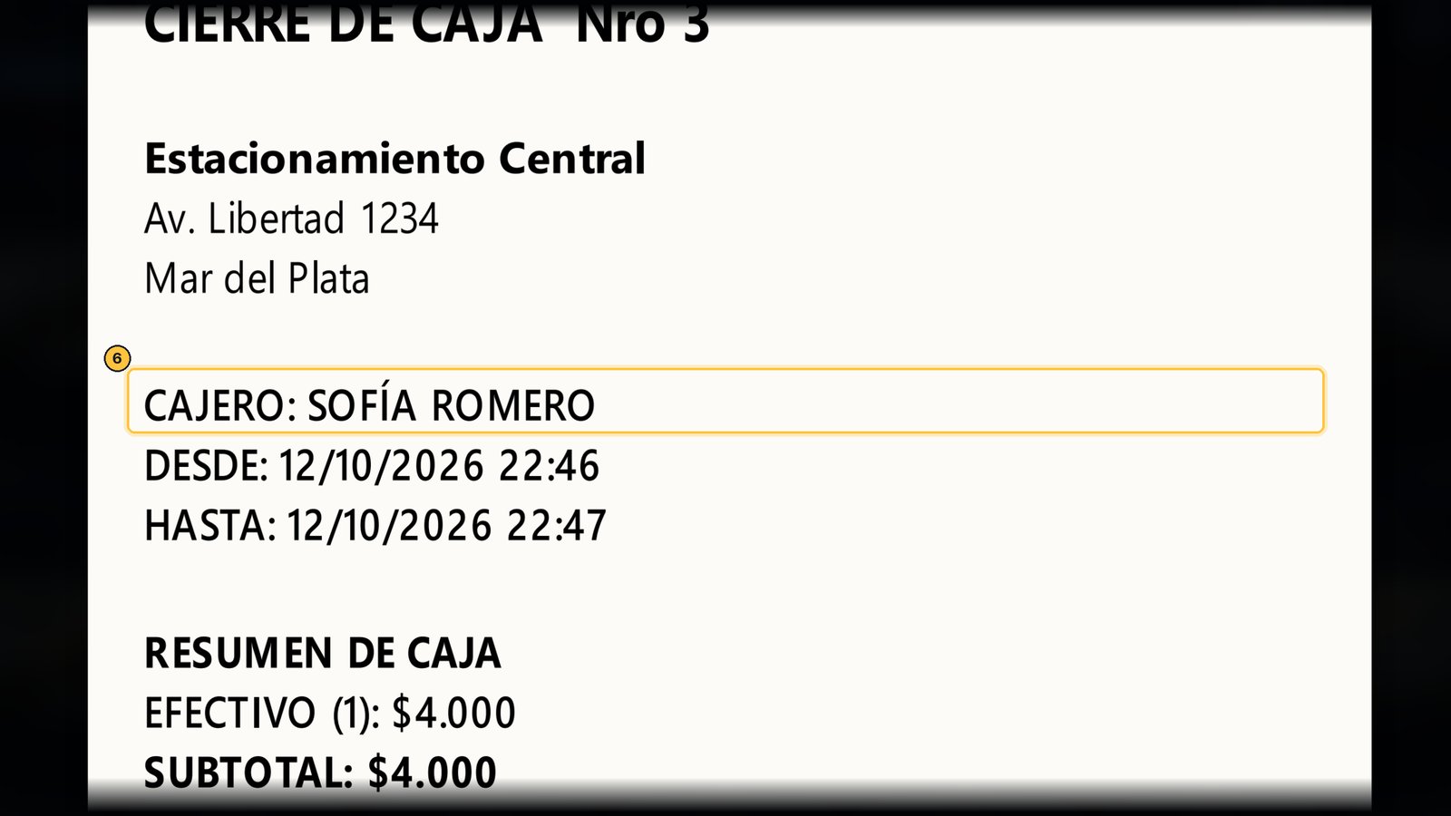 También imprimió el resumen de esa caja, a nombre de Sofía, para que pueda rendirla.
