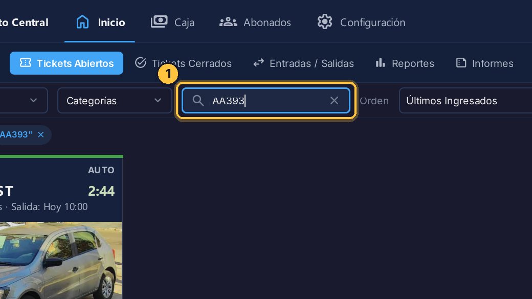 Busca el ticket: escribe parte de la matrícula en el filtro.