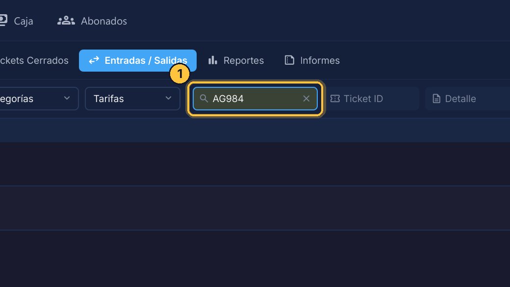 Escribe la matrícula, o una parte, en el buscador. Por ejemplo, la de ese mismo auto.