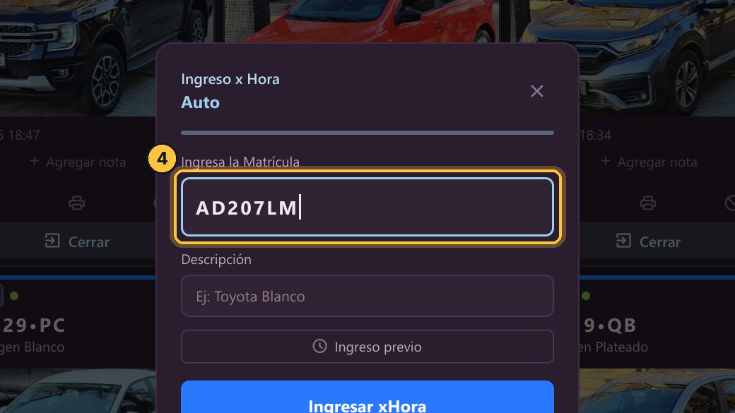 Se abre el ingreso de un auto por hora. Escribe la matrícula.