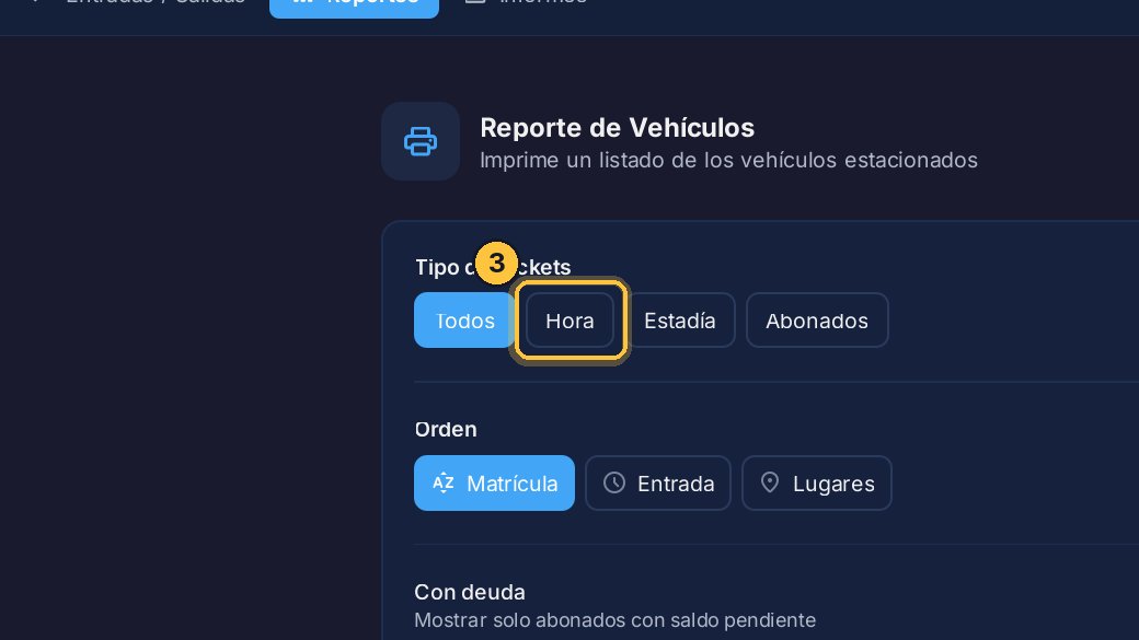 Con Tipo de Tickets eliges cuáles incluir. Por ejemplo, solo los que están por hora.