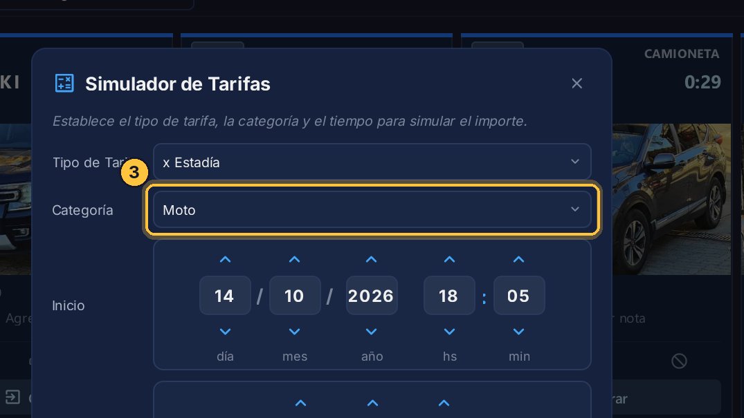 Al cambiar el tipo, la categoría vuelve a la primera. Elige otra vez el auto.